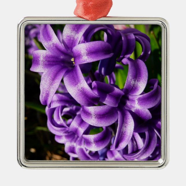 Ornamento De Metal Azul Hyacinth II Primavera Floral (Frente)
