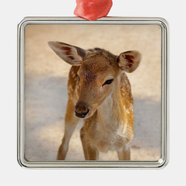 Ornamento De Metal Baby Deer (Frente)
