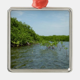 Ornamento De Metal Baby Mangrove Trees Caribe Natureza