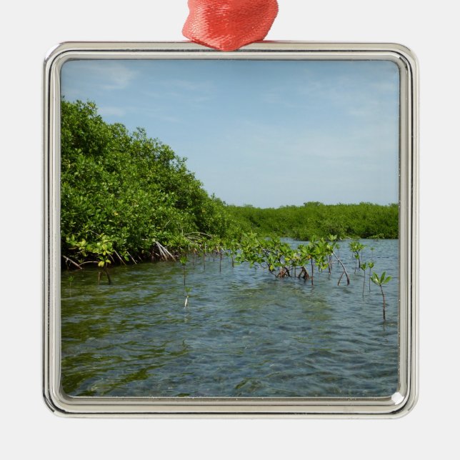 Ornamento De Metal Baby Mangrove Trees no Caribe (Frente)