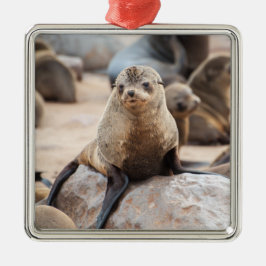 Ornamento De Metal Baby Seal