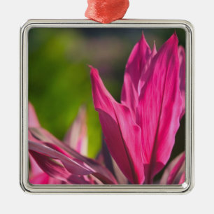 Ornamento De Metal BAHAMAS, New Providence Island, Nassau:Paraíso