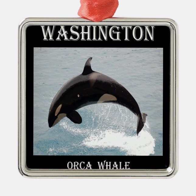 Ornamento De Metal Baleia da orca de Washington (Frente)
