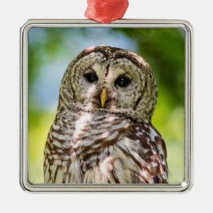 Ornamento De Metal Barred Owl