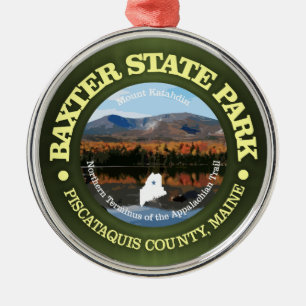 Ornamento De Metal Baxter SP