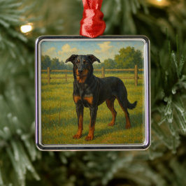 Ornamento De Metal Beauceron