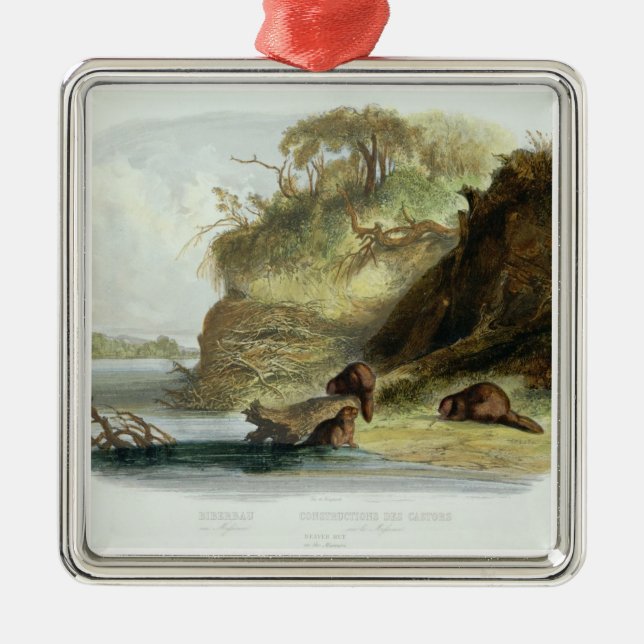 Ornamento De Metal Beaver a cabana no Missouri, chapeie 17 do volume (Frente)