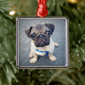 Ornamento De Metal Bebês Mais Pobres | Baby Pug