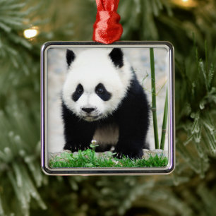 Ornamento De Metal Bebês Mais Pobres Bebê-Panda