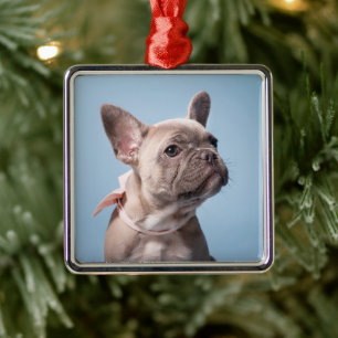 Ornamento De Metal Bebês Mais Pobres Bulldog Arco Rosa Francês