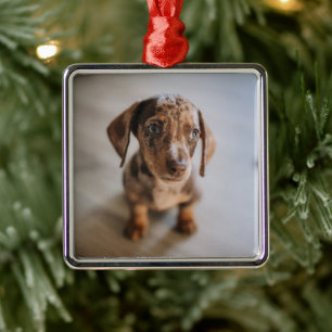 Ornamento De Metal Bebês Mais Pobres Castanho Dachshund Puppy