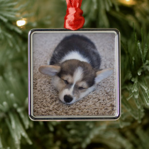 Ornamento De Metal Bebês Mais Pobres Corgi Puppy em Shag Rug