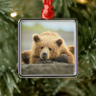 Ornamento De Metal Bebês Mais Pobres   Cubo-Urso-Marrom Costeiro