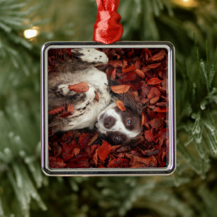 Ornamento De Metal Bebês Mais Pobres   Espanhol nas Folhas de outono