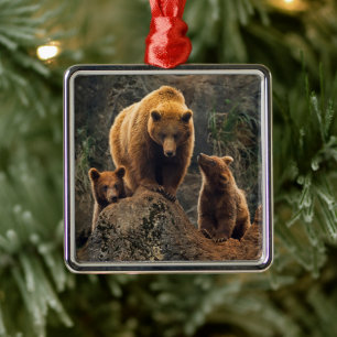 Ornamento De Metal Bebês Mais Pobres Família Brown Bear
