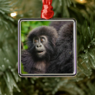 Ornamento De Metal Bebês Mais Pobres Jovens Montanhas Gorilla