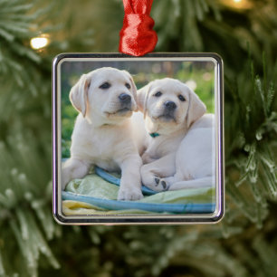 Ornamento De Metal Bebês Mais Pobres   Labrador Amarelo Retrievers