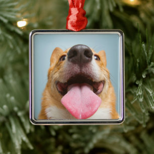 Ornamento De Metal Bebês Mais Pobres Língua Corgi
