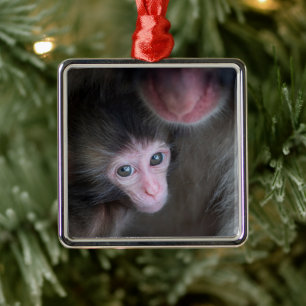 Ornamento De Metal Bebês Mais Pobres Macaco Baby Macaque e Mãe
