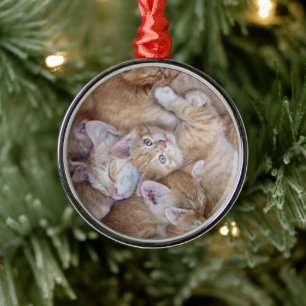 Ornamento De Metal Bebês Mais Pobres Película De Gato Laranja