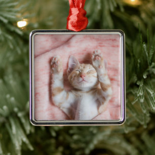 Ornamento De Metal Bebês Mais Pobres Pequeno Gato De Laranja