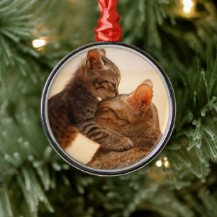 Ornamento De Metal Bebês Mais Pobres Tabby Kitten Kiss