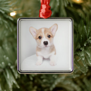 Ornamento De Metal Bebês Mais Pobres Tiny Corgi