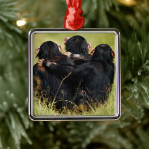 Ornamento De Metal Bebês Mais Pobres Três Chimpanzés