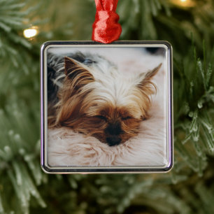 Ornamento De Metal Bebês Mais Pobres Yorkshire Terrier