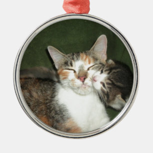 Ornamento De Metal Beijo do gatinho