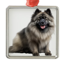 BELO CACHORRO DE KEESHOND FLUFFY