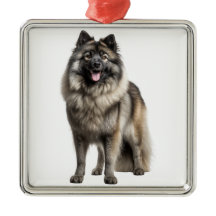 BELO CACHORRO DE KEESHOND FLUFFY