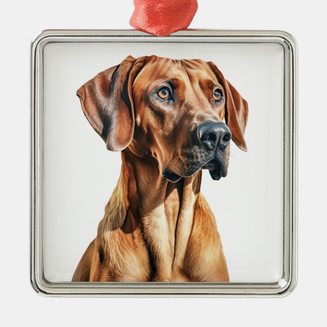 ORNAMENTO DE METAL BELO CÃO RIDGEBACK RHODESIANO (Frente)