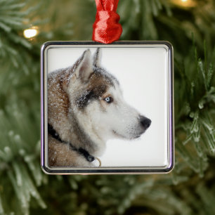 Ornamento De Metal Belo Husky Siberiano na neve