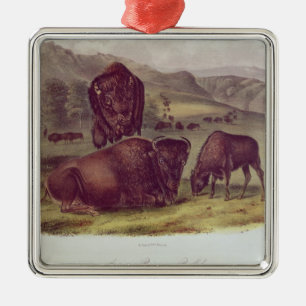 Ornamento De Metal Bisonte americano ou búfalo