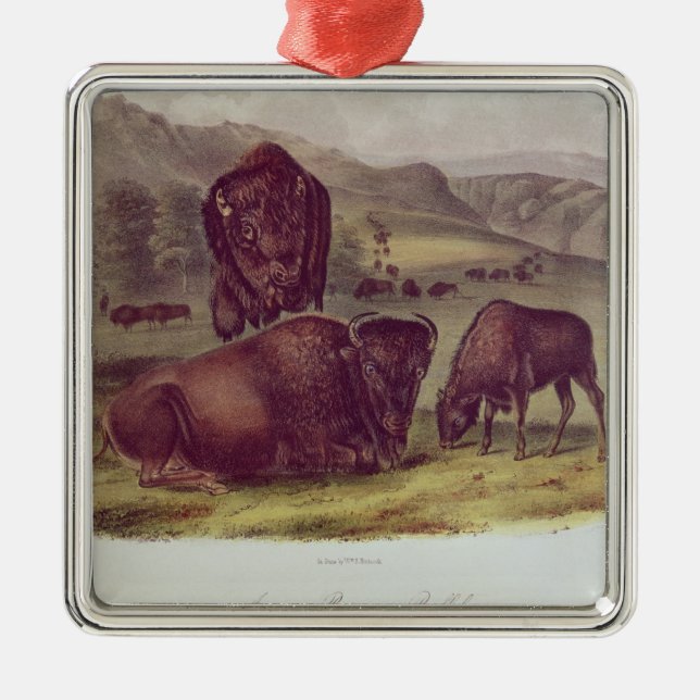 Ornamento De Metal Bisonte americano ou búfalo (Frente)