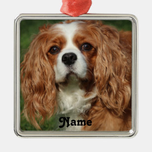 Ornamento De Metal Blenheim Cavalier King Charles Spaniel Puppy Dog