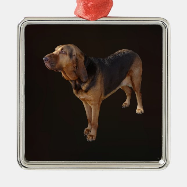 Ornamento De Metal Bloodhound (Frente)