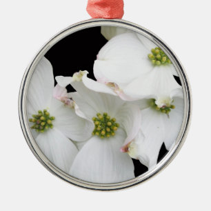 Ornamento De Metal Blossomas de Dogwood Oriental - Cornus florida