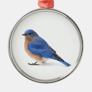 Ornamento De Metal Bluebird