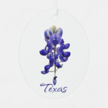 Ornamento de metal Bluebonnet do Texas
