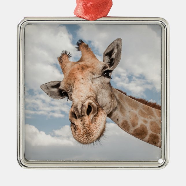 Ornamento De Metal Bobo Giraffe (Frente)