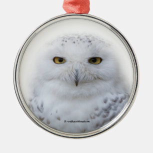 Ornamento De Metal Bonita, Dreamy e Serene Snowy Owl