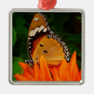 Ornamento De Metal Borboleta