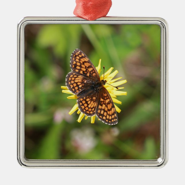 Ornamento De Metal Borboleta - Bonita! (Frente)