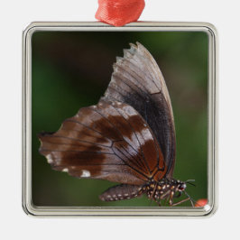 Ornamento De Metal Borboleta Branca e Marrom em Flor Vermelha