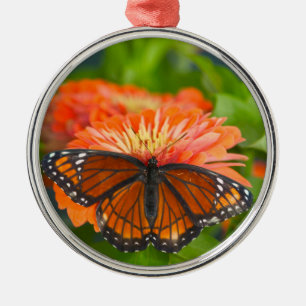 Ornamento De Metal Borboleta de vice-rei em Orange Zinnias