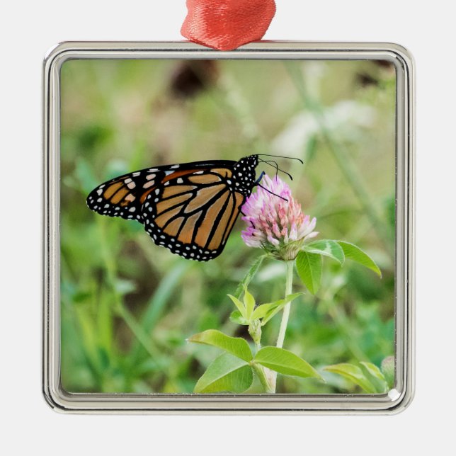 Ornamento De Metal Borboleta Monarca (Frente)