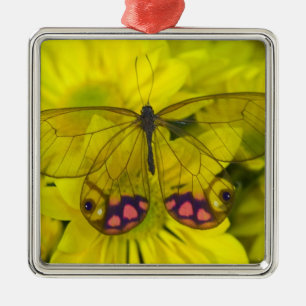 Ornamento De Metal Borboleta no Amarelo