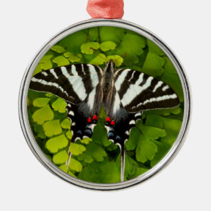 Ornamento De Metal Borboleta Rabo de Andorinha Americana